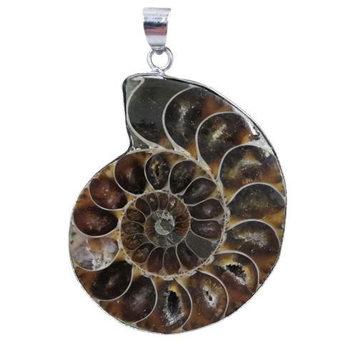 Ammonite Pendant