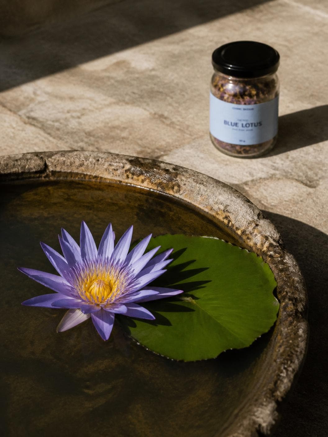 A single open blue water lily floating beside one flat green pad in a weathered stone basin of dark water, hard sunlight across the stone, the jar standing on the paving beyond.