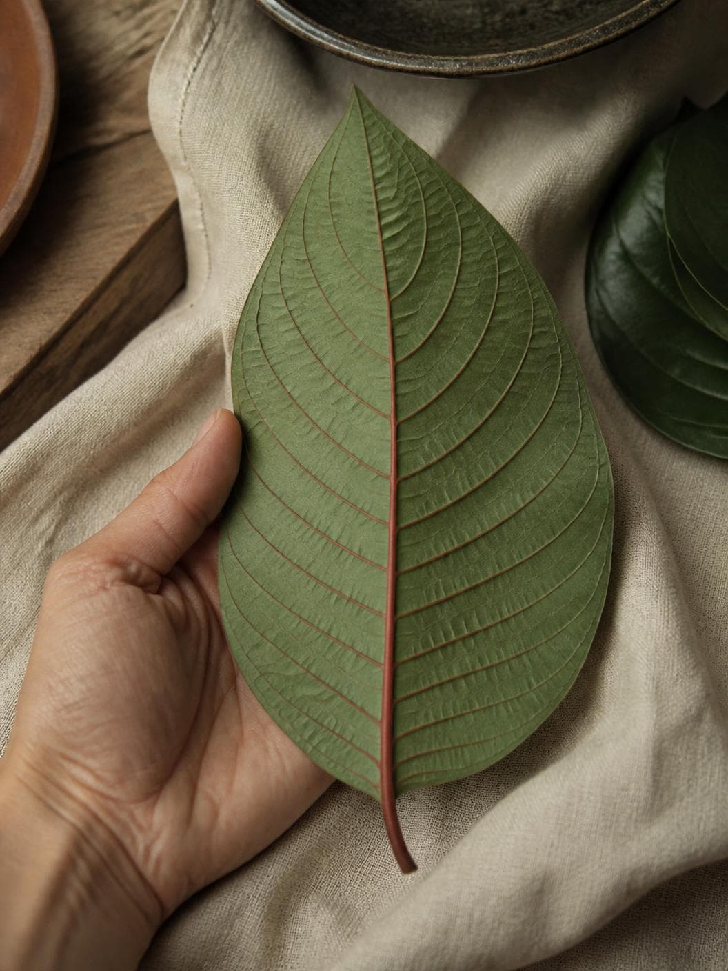 One fresh kratom leaf held flat in an open hand on linen, underside up. The midrib and stalk run a clear red-brown, and every side vein branching from it carries the same colour.