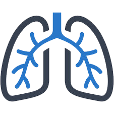 Respiratory & Sinus