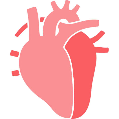 Heart & Circulation Support