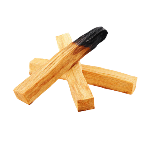 Palo_Santo.png