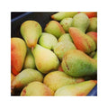 Pears-from-farm.jpg