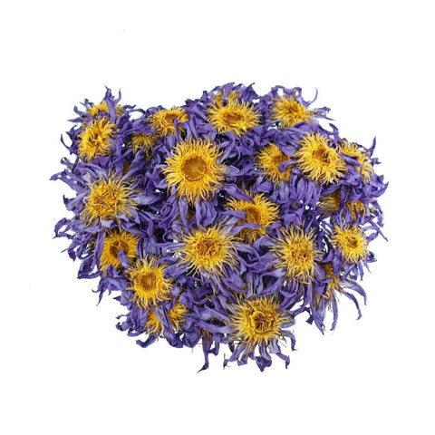 blue-lotus-whole-flowers-800x800-1_ea7e600a-0826-4d37-a34b-56856f745d51.jpg
