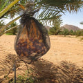 dates-namibia_78f5fa8c-09ba-4f0a-bb72-461e209ccc24.jpg