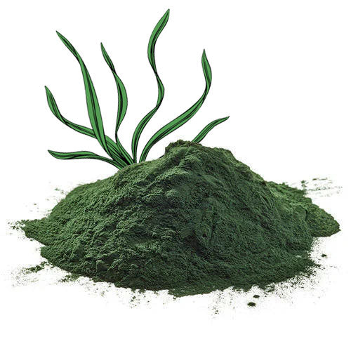 Spirulina Powder (Organic) Spirulina Powder (Organic)