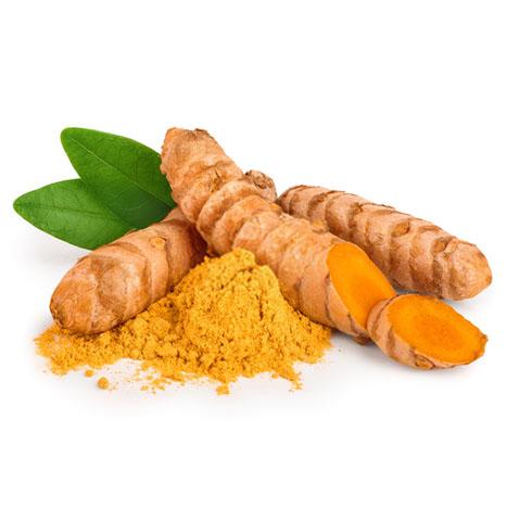 turmeric_66f6b4a5-d1e7-491b-8fac-521a24ec7f80.jpg