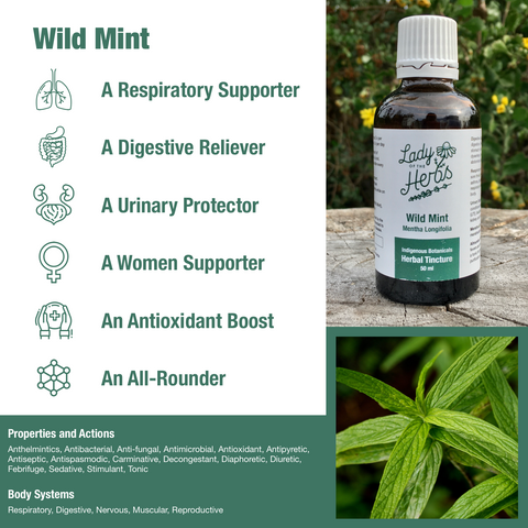 Wild-Mint.png