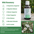 Wild-Rosemary_694677d3-74ca-4ce7-bf5d-a3997977fe9b.png