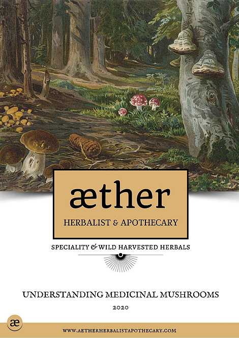 Understanding Medicinal Mushrooms by Aether (Free eBook)